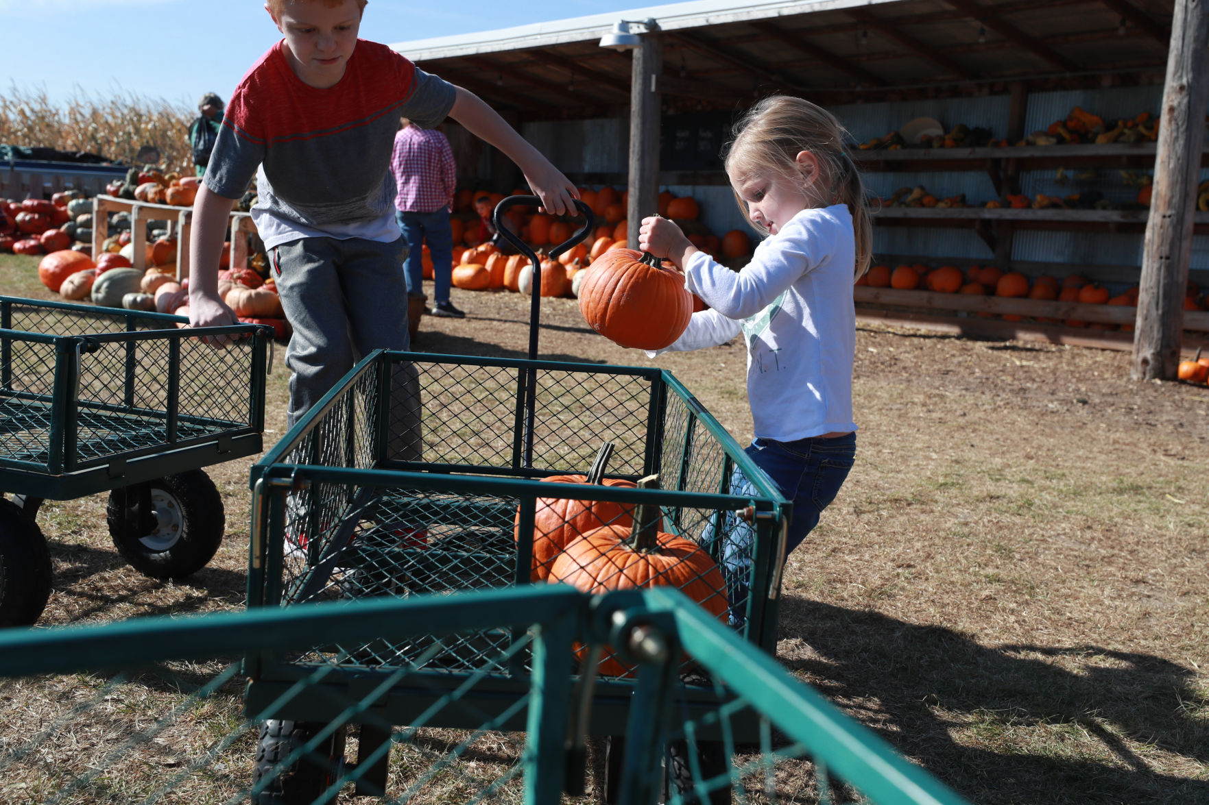 101719_ScarecrowPatch017_bjs.JPG